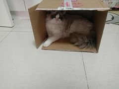 -万荣烤鸭店·北京菜(天坛店)