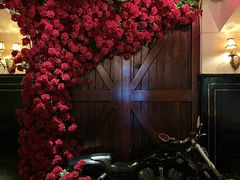 -碧特博格·20年品牌西餐厅(芜湖路店)