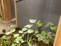 -邈墨茶馆(凤起路店)