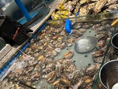 -一方渔歌蒸汽海鲜自助(文化路万达广场店)