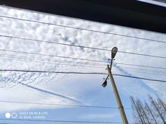 -上海市曹杨第二中学