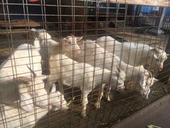 -白塘生态植物园