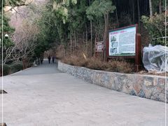 -佛慧山