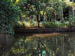 -滴水岩森林公园