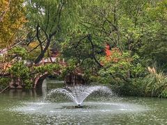 -上海醉白池公园