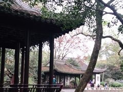 -秋霞圃
