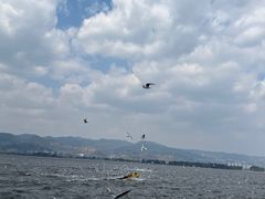 -海埂大坝