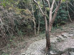 -缥缈峰景区