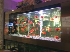 -御池园(顾村公园店)