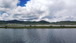 -纳帕海依拉草原