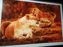 -罗红摄影艺术馆