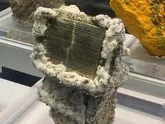 -湖南省地质博物馆