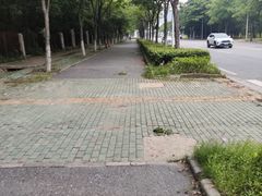 -金银湖国家城市湿地公园