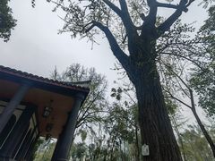 -平安桥天主教堂