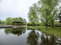 -同里国家湿地公园
