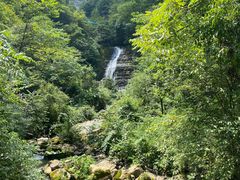 -鹿院坪生态旅游景区