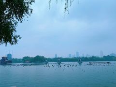 -济南大明湖景区