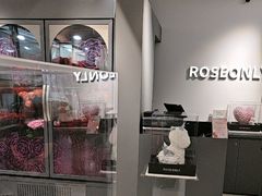 -ROSEONLY诺誓(广州K11店)