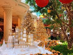 -拉斯维加斯永利酒店