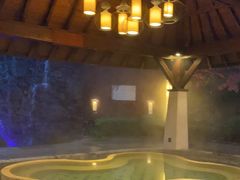 -天目湖涵田半山温泉