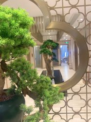 -HQ半永久纹绣纹眉