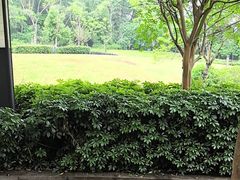 -成都蒲江花样年福朋喜来登度假酒店·宜客乐西餐厅