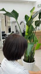 -M² LAB SALON