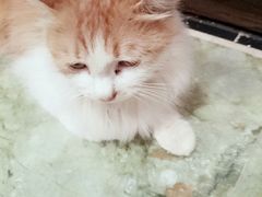 -龙达温泉生态城