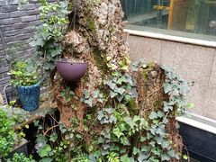 -毅祥斋老孙家泡馍(西羊市店)