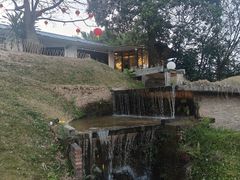 -凤阁楼果木烧鹅(鹤山陈山店)