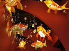 -南京市民俗博物馆(甘熙宅第)