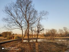 -西溪国家湿地公园