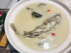 养颜白汁河豚-肆月河豚·新淮扬(金融街店)