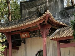 -顺峰山公园