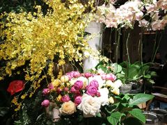 -春暖花开(西溪店)