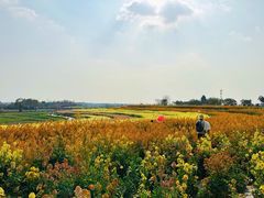 -三圣花乡旅游区