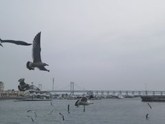 -大连圣亚海洋世界