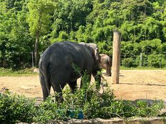 -宁波野生动物园