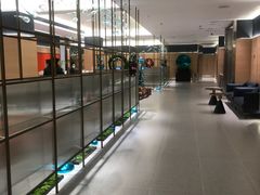 -红鼎豆捞·非遗鲍皇汤火锅(宝丰路店)