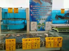 -大眼锅贴水饺(河东店)