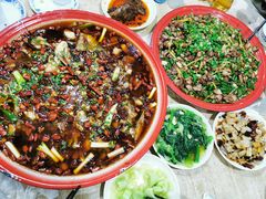 -东吴霸王兔(松青路店)