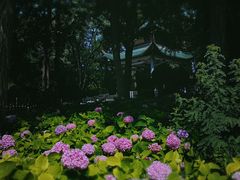 -陶然亭公园
