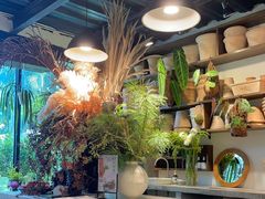 -自由生长植物工作室(深港花卉中心店)
