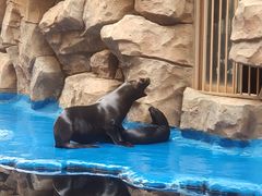 -华夏文旅海洋公园