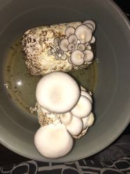 -艾维庭美容纤体SPA