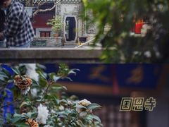 -国恩寺