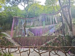 -云丘山景区