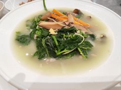 上汤桑叶-权记避风塘(鸿记店)