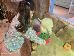 -宝燕乐园(闵行旗舰店)