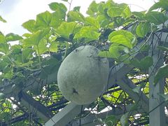 -天河儿童公园